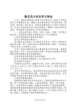 鲁支完小安全学习体会