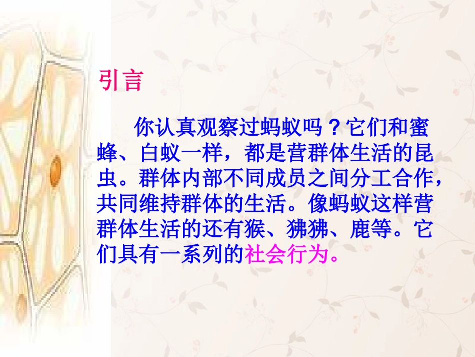八年级生物上册 5.2.3 社会行为课件3 （新版）新人教版_第3页