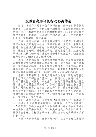 受教育亮承诺见行动心得体会