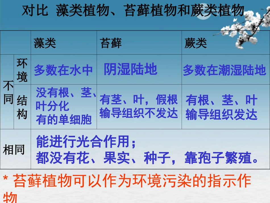 湖北省大冶市还地桥镇南湾初级中学七年级生物上册 第三单元《种子植物》课件1 新人教版_第3页
