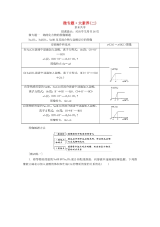 高中化学 第二章 海水中的重要元素——钠和氯 微专题 大素养（二）教案 新人教版必修第一册-新人教版高一第一册化学教案