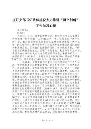 抓好支部书记队伍建设大力推进“两个创新”工作学习心得