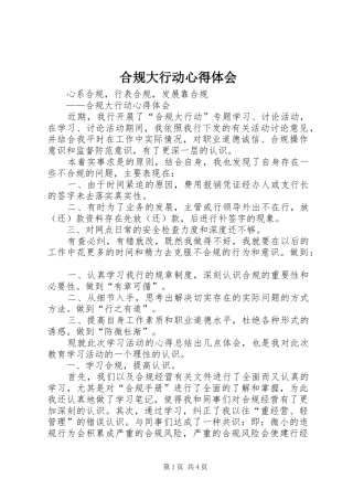 合规大行动心得体会