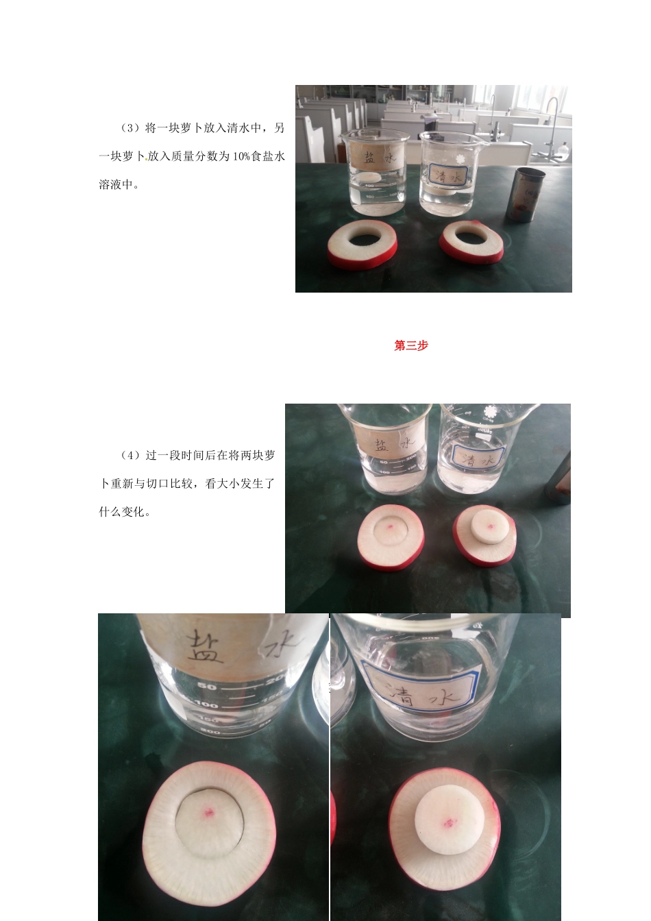 江西省信丰县黄泥中学中考生物实验汇总复习 外界溶液影响根细胞的吸水实验教学设计_第3页