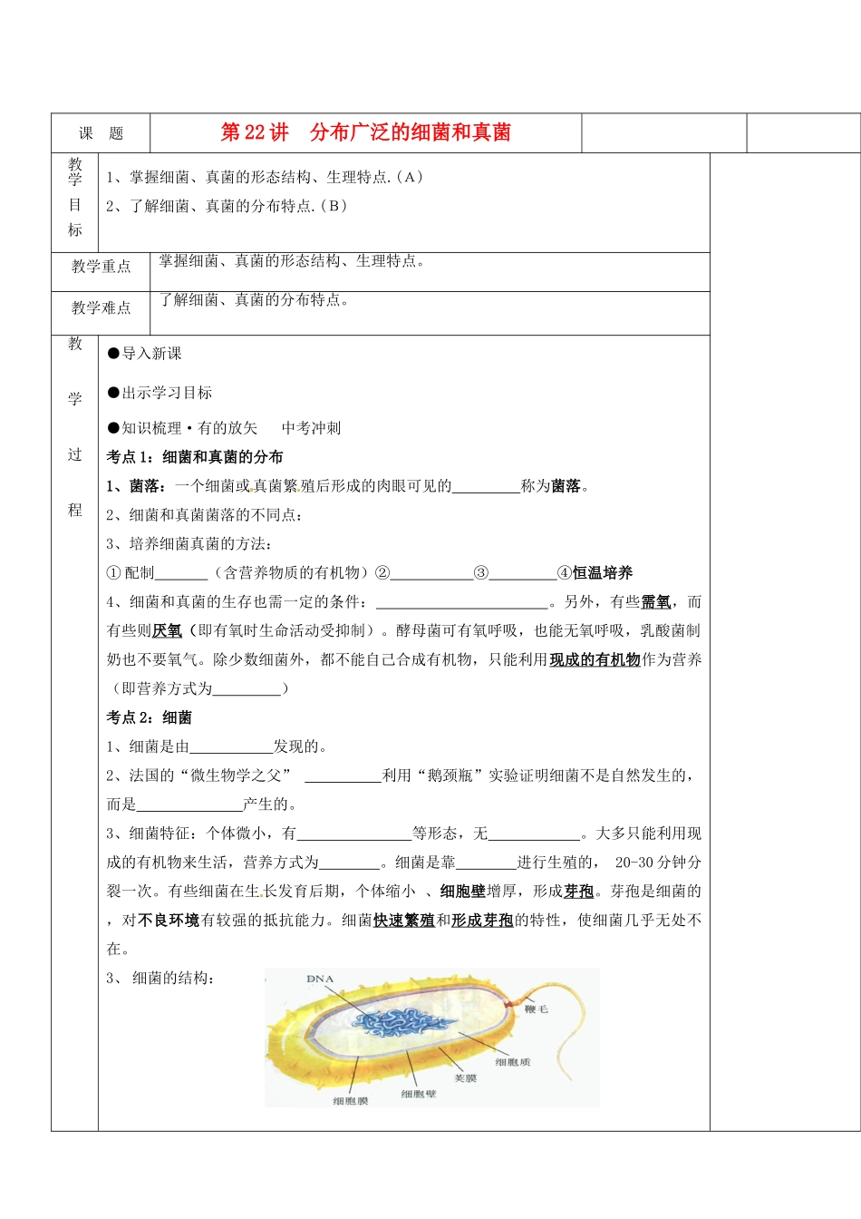 湖南省茶陵县世纪星实验学校八年级生物复习《第22讲 分布广泛的真菌和细菌》教案 人教新课标版_第1页