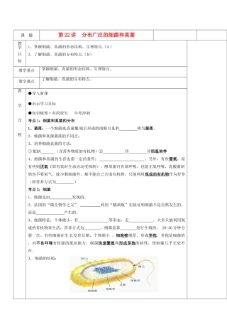 湖南省茶陵县世纪星实验学校八年级生物复习《第22讲 分布广泛的真菌和细菌》教案 人教新课标版