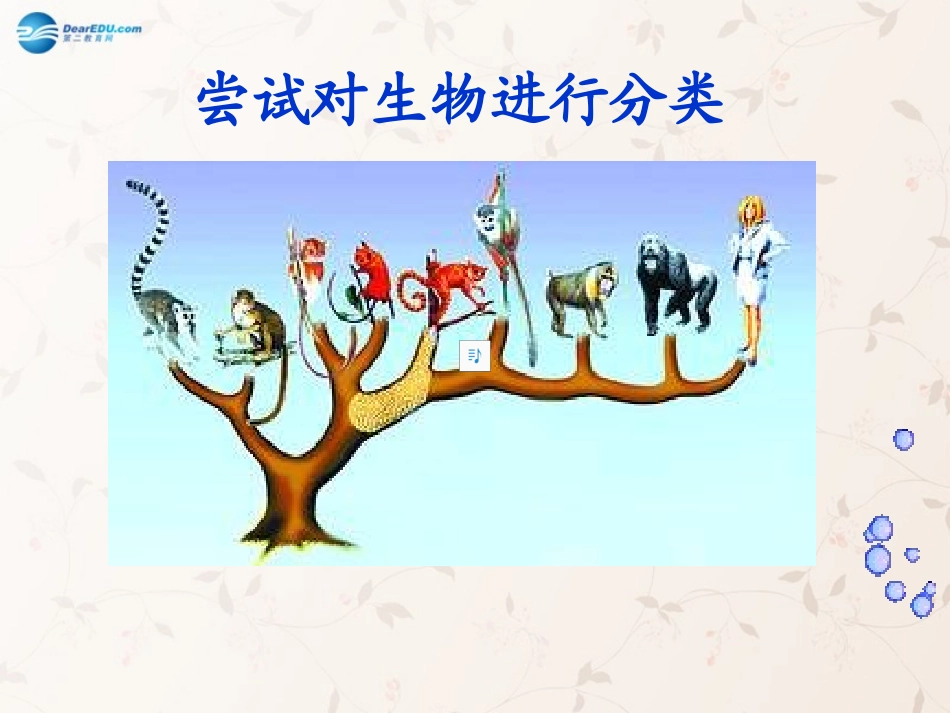 八年级生物上册 6.1.1 尝试对生物进行分类课件3 （新版）新人教版_第1页
