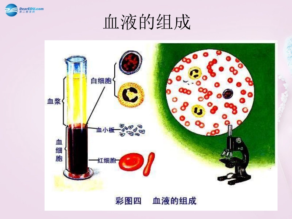 湖南省长沙市长郡芙蓉中学七年级生物下册《4.4.1 流动的组织-血液》课件 新人教版_第3页