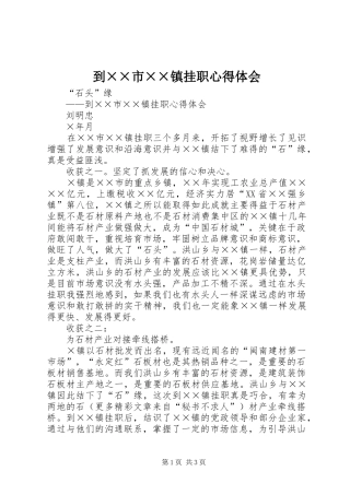 到××市××镇挂职心得体会