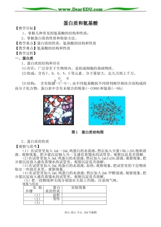 高中化学苏教版必修2 蛋白质和氨基酸