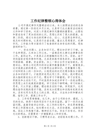 工作纪律整顿心得体会