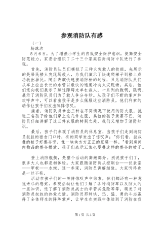 参观消防队有感