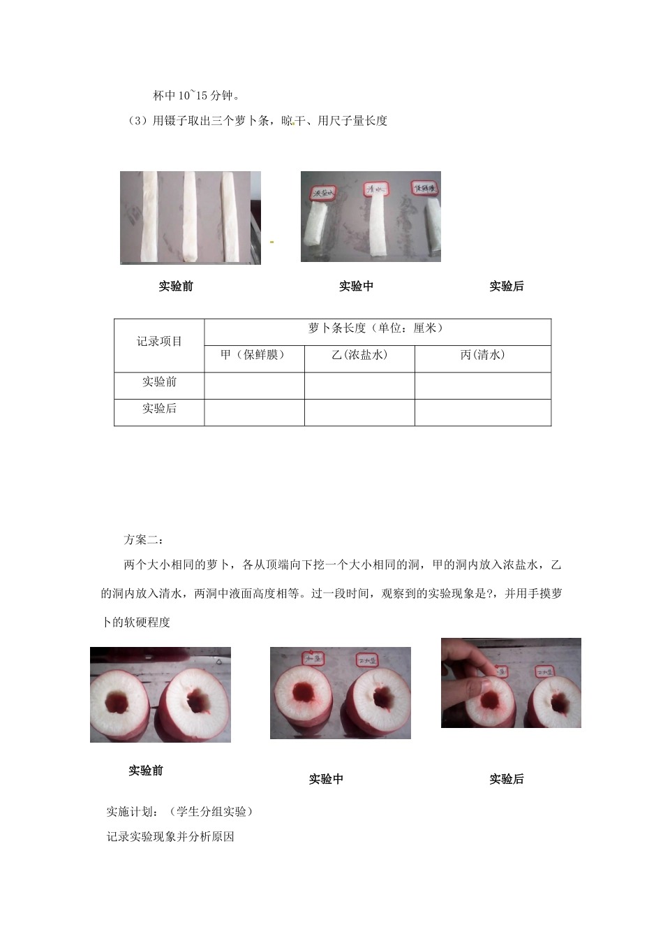 江西省信丰县黄泥中学中考生物实验汇总复习 植物对水分和无机盐的吸收教学设计_第3页