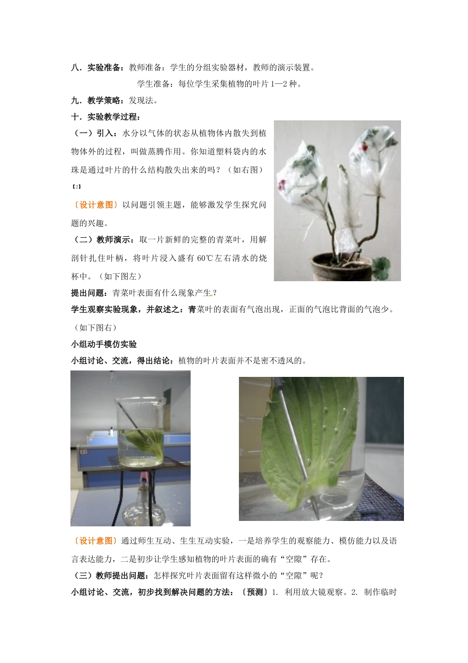 江西省信丰县黄泥中学中考生物实验汇总复习 观察植物叶表皮的气孔教学设计_第2页