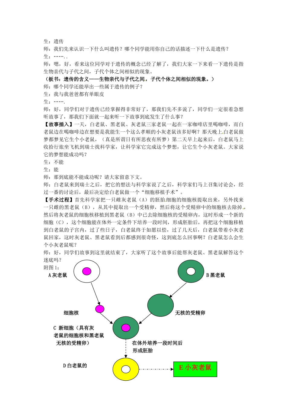 江苏省东台市唐洋镇中学八年级生物上册《15.1 DNA是主要的遗传物质》教案 苏教版_第2页