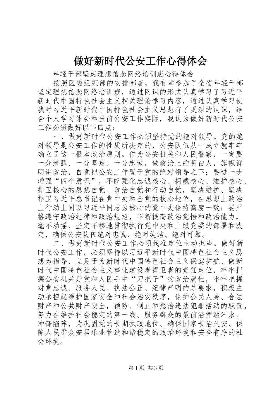 做好新时代公安工作心得体会_第1页