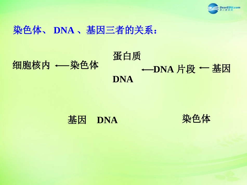 八年级生物下册 第二十二章 第2节《人的性状和遗传》课件 （新版）苏教版_第2页