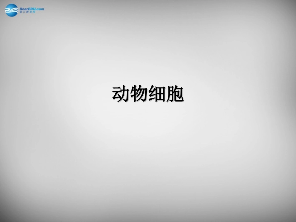 安徽省长丰县下塘实验中学七年级生物上册《2.1.3 动物细胞》课件 （新版）新人教版_第1页