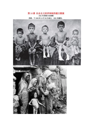 高中历史 第14课 社会主义经济体制的建立教案23 岳麓版必修2-岳麓版高一必修2历史教案