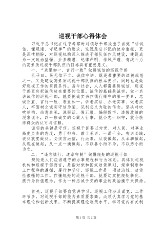 巡视干部心得体会