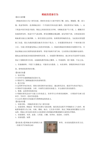 江西省信丰县黄泥中学中考生物实验汇总复习 蚂蚁的觅食行为教学设计