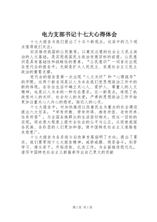 电力支部书记十七大心得体会