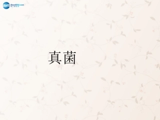八年级生物上册 5.4.3 真菌课件3 （新版）新人教版