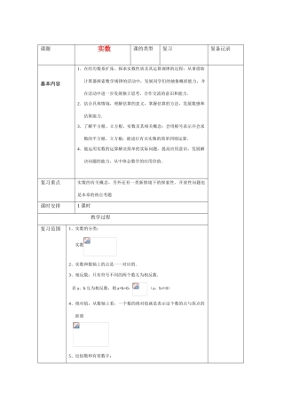九年级数学复习教案 实数 新课标人教版