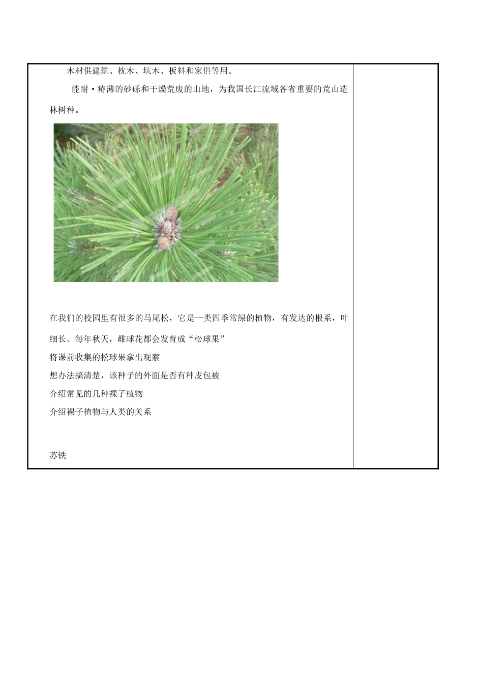 江苏省苏州市工业园区东沙湖学校七年级生物下册 地面上的植物（第二课时）教案 苏科版_第3页