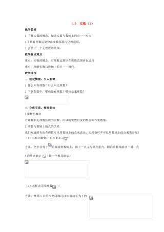八年级数学上：1.3  实数（1） 教案湘教版