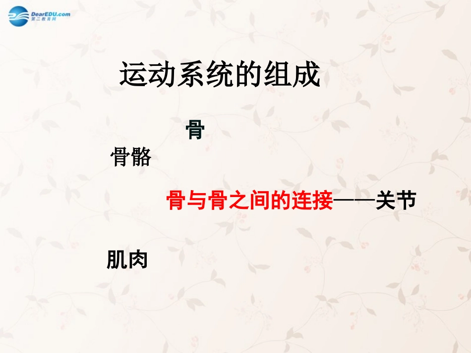 八年级生物上册 5.2.1 动物的运动课件4 （新版）新人教版_第2页