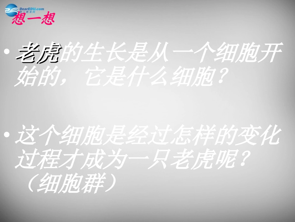 安徽省长丰县下塘实验中学七年级生物上册《2.2.2 动物体的结构层次》课件 （新版）新人教版_第3页