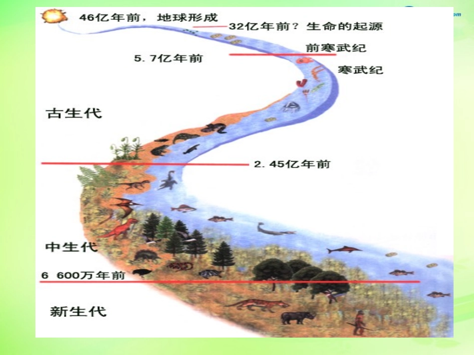 江苏省昆山市锦溪中学八年级生物下册 22.2 生物进化的历程课件 苏科版_第3页