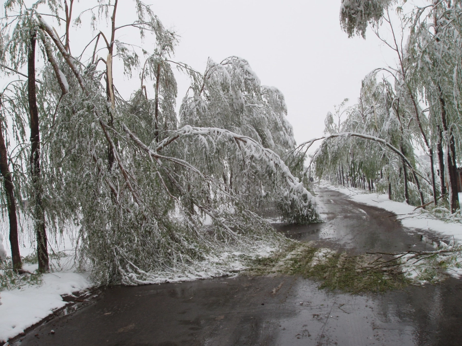 八年级地理上册 2.4 自然灾害课件 （新版）新人教版_第2页