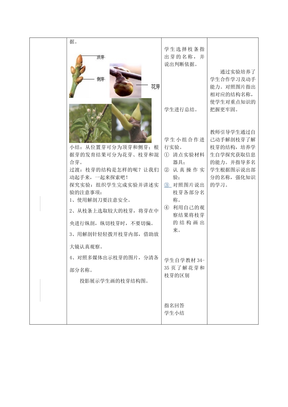 -八年级生物上册 4.1.6 芽的类型和发育优秀教案 济南版-济南版初中八年级上册生物教案_第2页