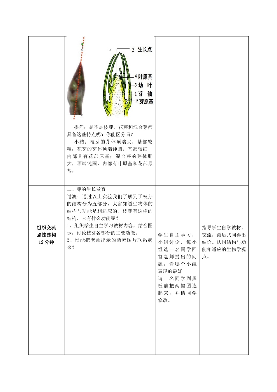 -八年级生物上册 4.1.6 芽的类型和发育优秀教案 济南版-济南版初中八年级上册生物教案_第3页
