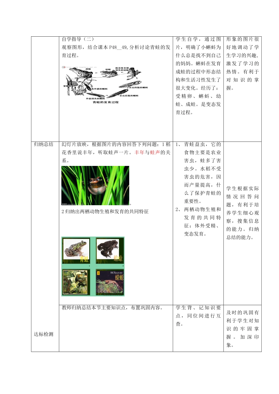 八年级生物上册 第二节 两栖动物的生殖和发育教案  济南版_第3页
