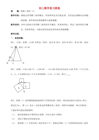 九年级数学 特殊三角形复习教案2