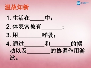 八年级生物上册 5.1.5 两栖动物和爬行动物课件 （新版）新人教版