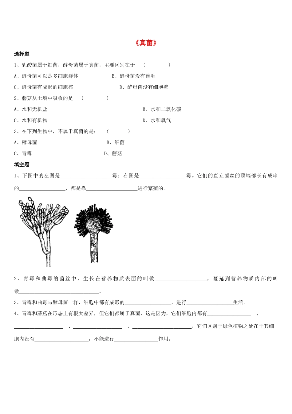 八年级生物上册 5.4.3 真菌练习题2（无答案）（新版）新人教版_第1页