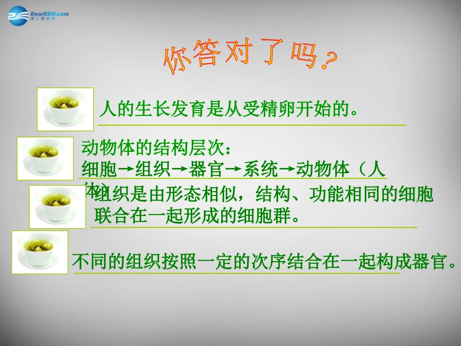 安徽省长丰县下塘实验中学七年级生物上册《2.2.3 植物体的结构层次》课件 （新版）新人教版_第3页