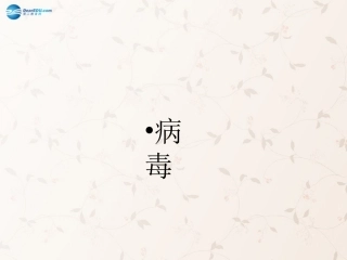 八年级生物上册 5.5 病毒课件3 （新版）新人教版