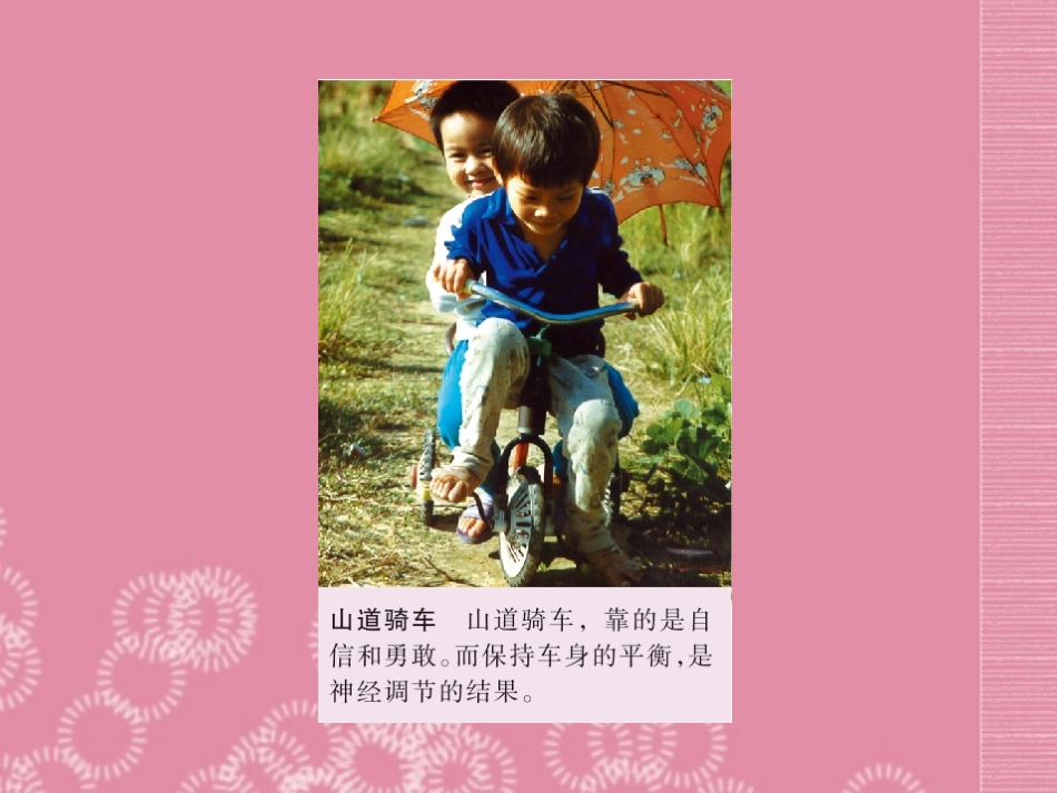 云南省祥云县禾甸中学七年级生物下册《12-2 神经调节》课件 苏教版_第2页