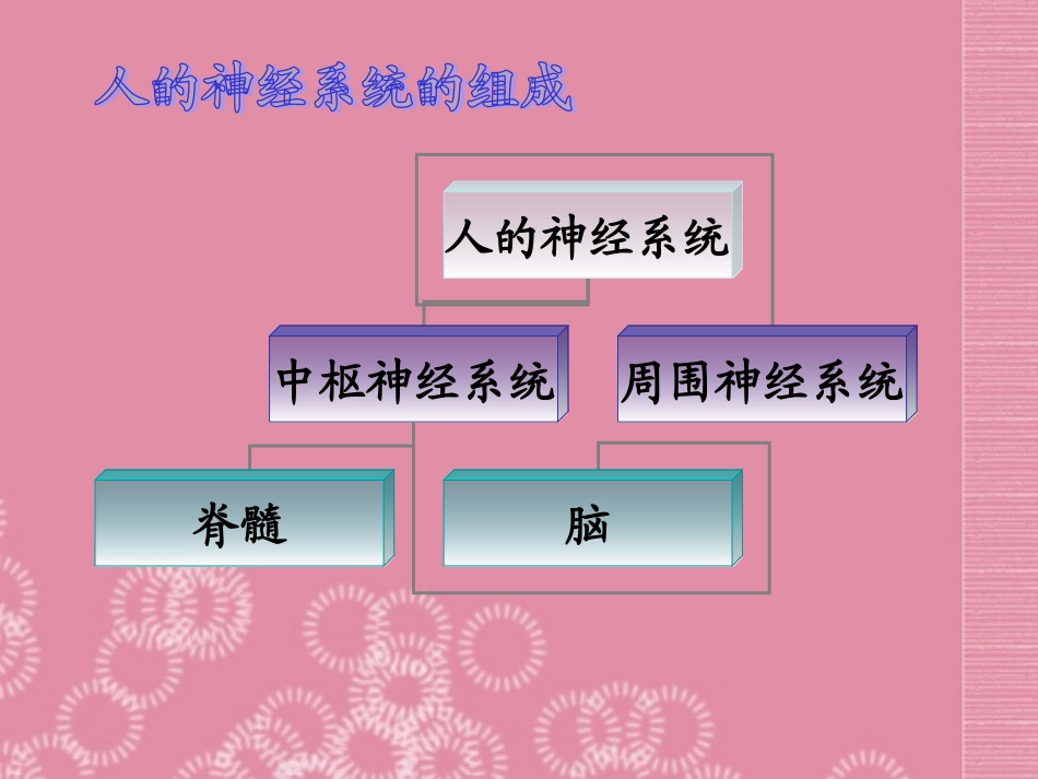 云南省祥云县禾甸中学七年级生物下册《12-2 神经调节》课件 苏教版_第3页