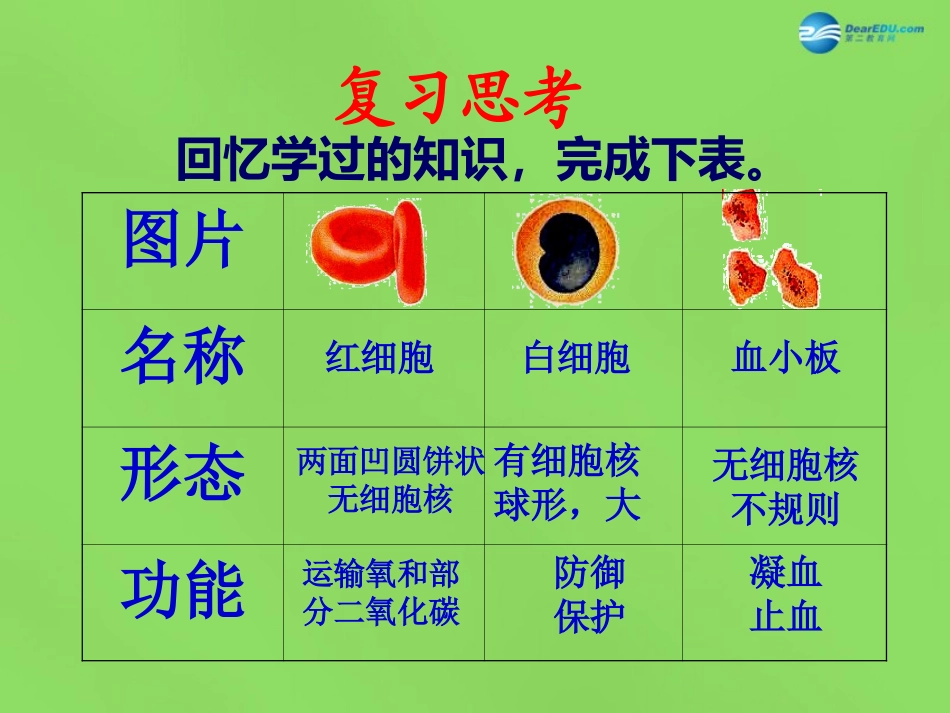 山东省淄博市临淄区第八中学七年级生物下册 4.2 血流的管道—血管课件 新人教版_第1页