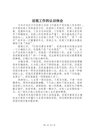 巡视工作的认识体会