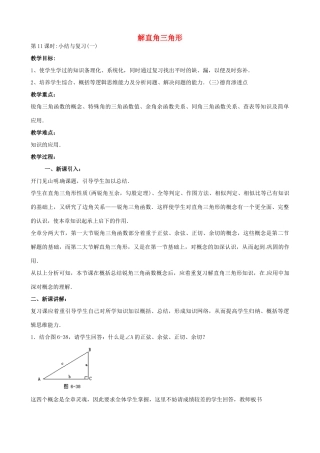 中考数学总复习 第六章 解直角三角形 第11课时 解直角三角形教案-人教版初中九年级全册数学教案