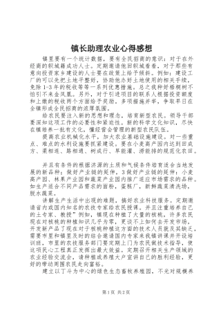 镇长助理农业心得感想