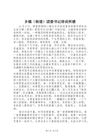 乡镇（街道）团委书记培训所感