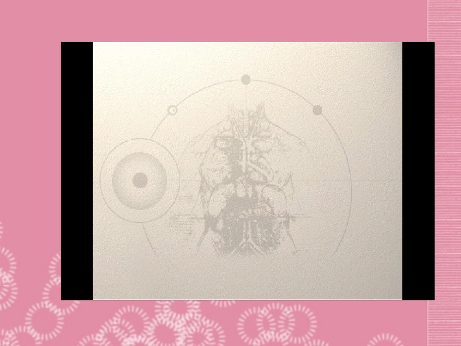云南省祥云县禾甸中学七年级生物下册《8-3 人体概述》课件 苏教版_第3页